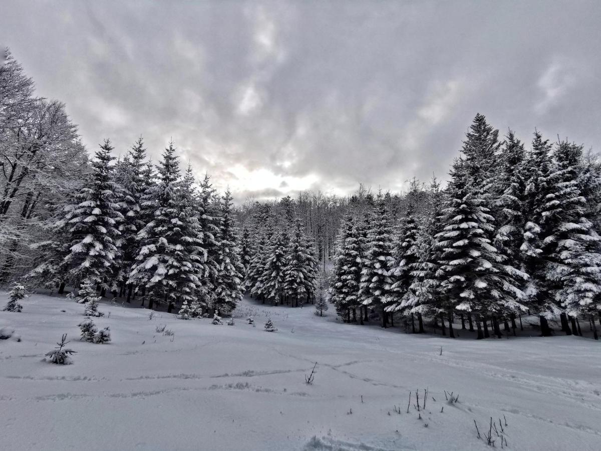Great Mountain B&B Platak Exteriér fotografie