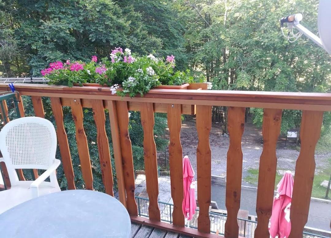 Great Mountain B&B Platak Exteriér fotografie